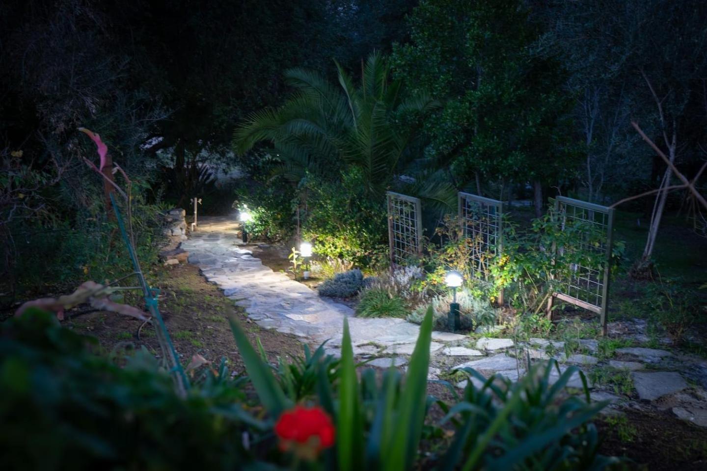 Nature Focused Villa Designed For Wellness ฟอลล์บรูค ภายนอก รูปภาพ
