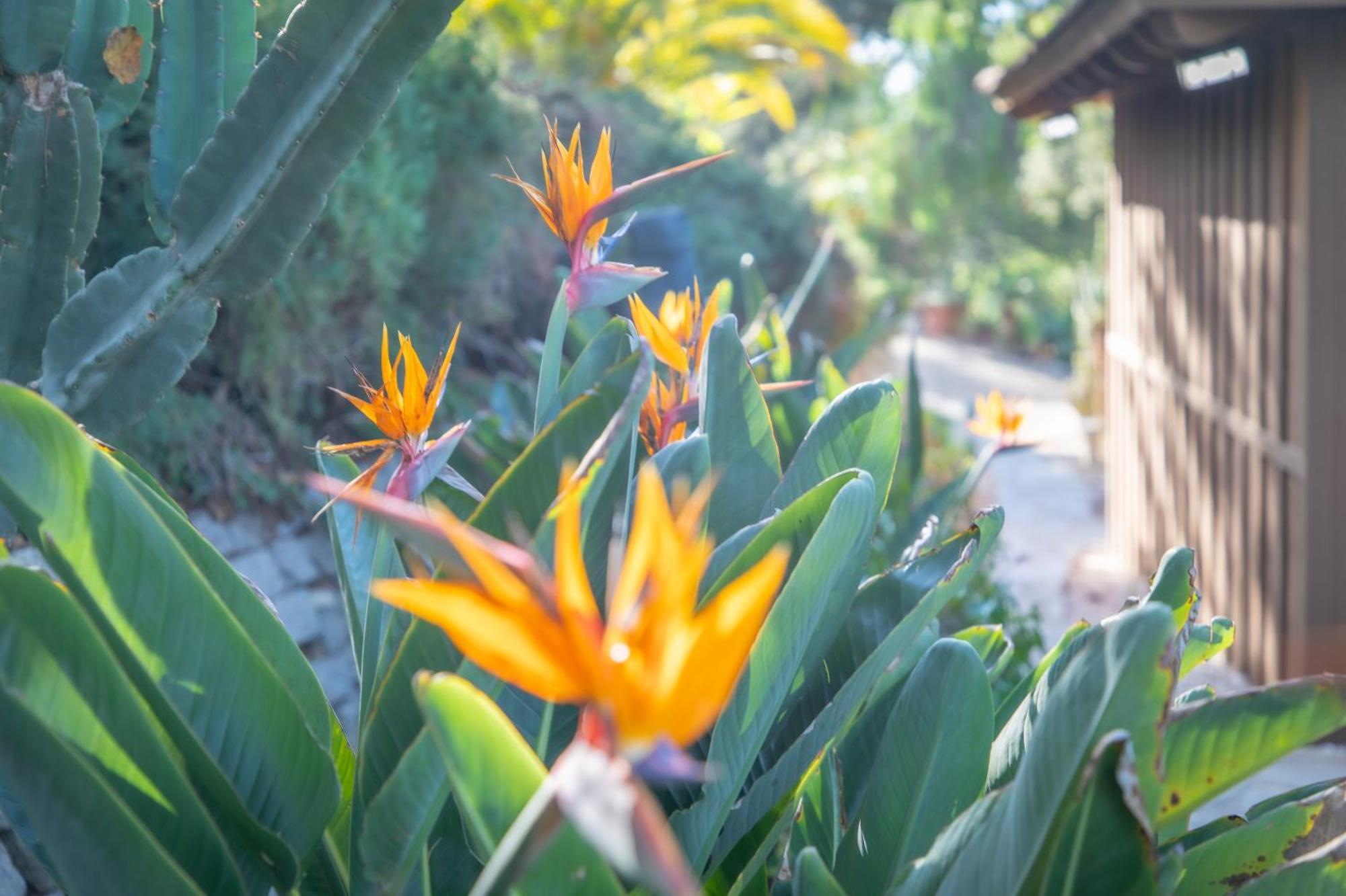 Nature Focused Villa Designed For Wellness ฟอลล์บรูค ภายนอก รูปภาพ